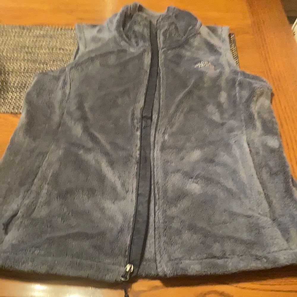 The North face vest